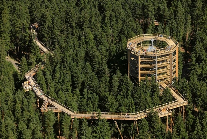 Stezka korunami stromů Lipno
