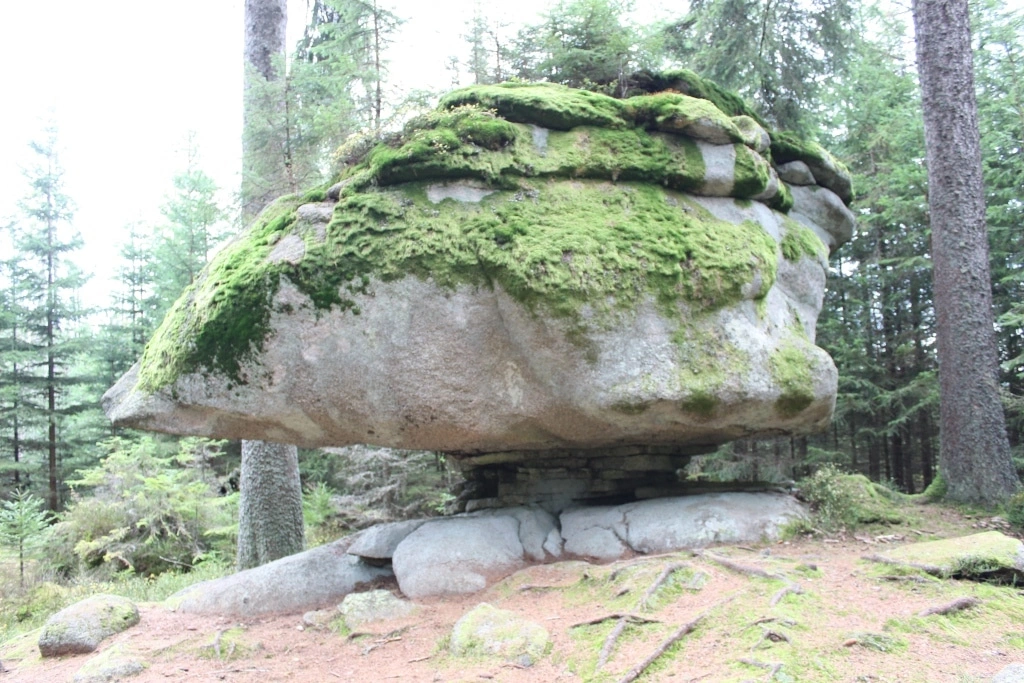 medvědí stezka šumava